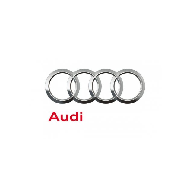 Audi China